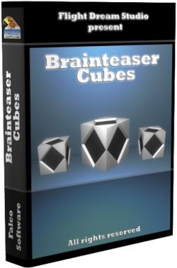 Brainteaser Cubes